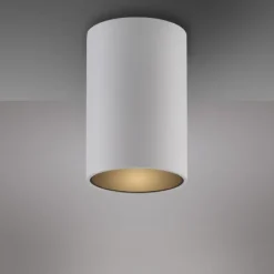 Paul Neuhaus LED Deckenleuchte PURE Point, snow, Indoor, dimmbar