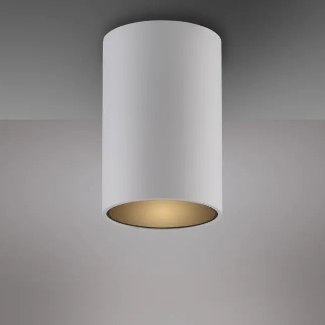 Paul Neuhaus LED Deckenleuchte PURE Point, snow, Indoor, dimmbar