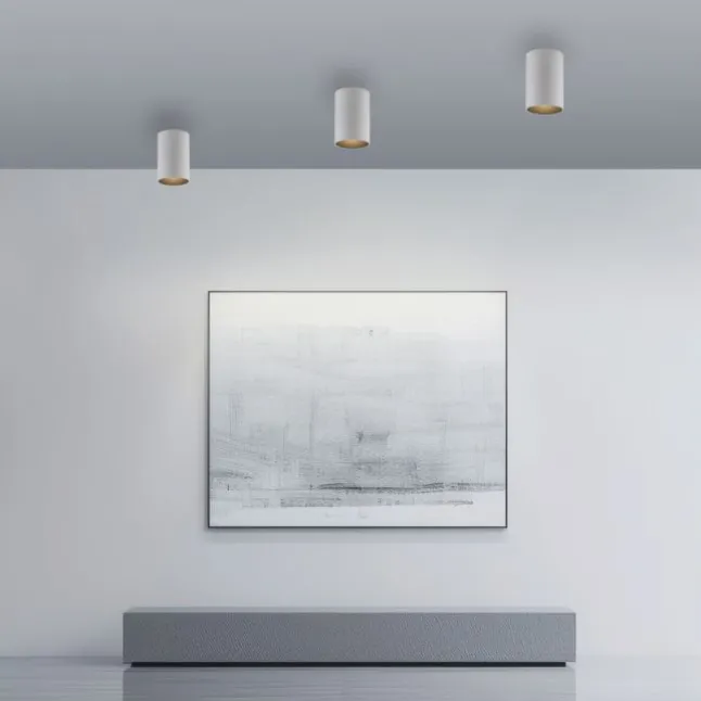 Paul Neuhaus LED Deckenleuchte PURE Point, snow, Indoor, dimmbar