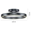 Paul Neuhaus LED Deckenleuchte PURE Loop mystic grey Fernbedienung