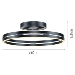Paul Neuhaus LED Deckenleuchte PURE Loop mystic grey Fernbedienung