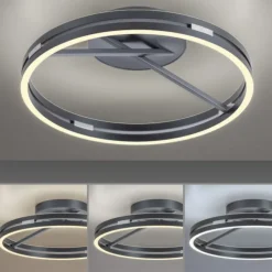 Paul Neuhaus LED Deckenleuchte PURE Loop mystic grey Fernbedienung