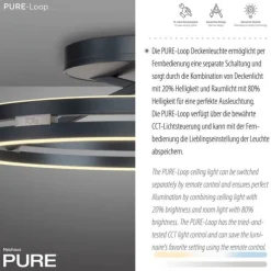 Paul Neuhaus LED Deckenleuchte PURE Loop mystic grey Fernbedienung