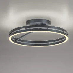 Paul Neuhaus LED Deckenleuchte PURE Loop mystic grey Fernbedienung