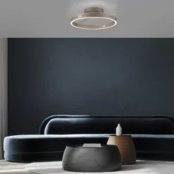 Paul Neuhaus LED Deckenleuchte PURE Loop, bronce, dimmbar, Funk-FB