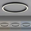 Paul Neuhaus LED Deckenleuchte PURE Lines Round graphite 70cm CCT Fernbedienung