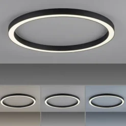 Paul Neuhaus LED Deckenleuchte PURE Lines Round graphite 70cm CCT Fernbedienung