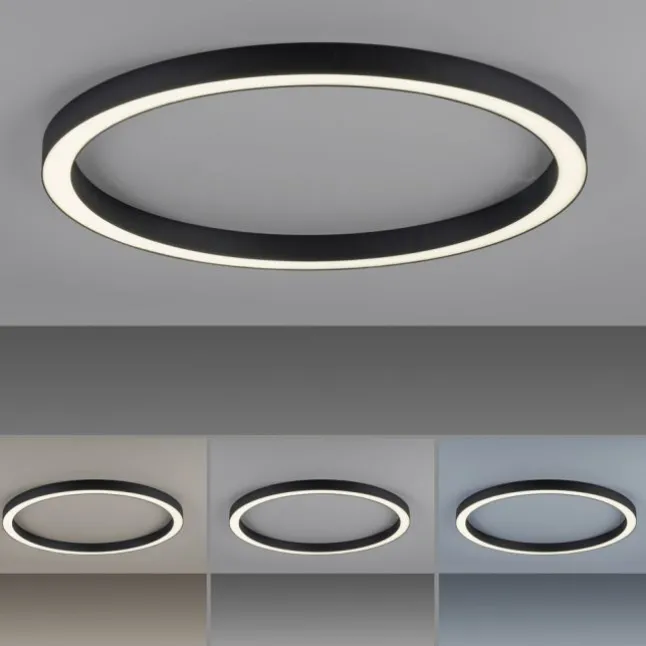 Paul Neuhaus LED Deckenleuchte PURE Lines Round graphite 70cm CCT Fernbedienung