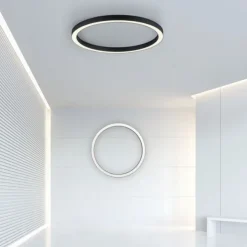 Paul Neuhaus LED Deckenleuchte PURE Lines Round graphite 70cm CCT Fernbedienung