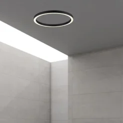 Paul Neuhaus LED Deckenleuchte PURE Lines Round graphite 70cm CCT Fernbedienung