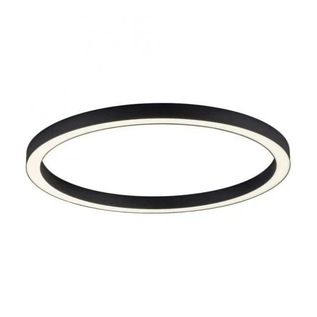 Paul Neuhaus LED Deckenleuchte PURE Lines Round graphite 70cm CCT Fernbedienung