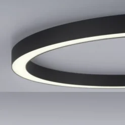 Paul Neuhaus LED Deckenleuchte PURE Lines Round graphite 70cm CCT Fernbedienung