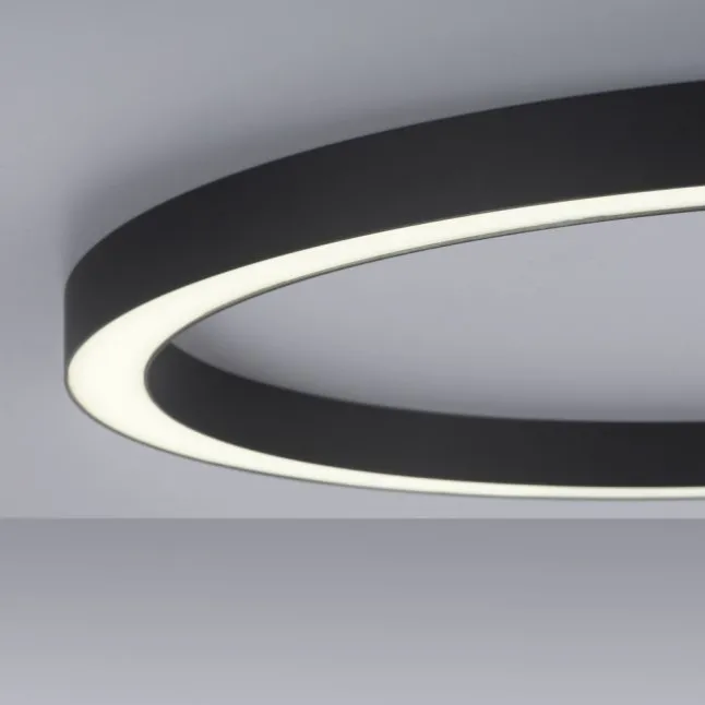 Paul Neuhaus LED Deckenleuchte PURE Lines Round graphite 70cm CCT Fernbedienung
