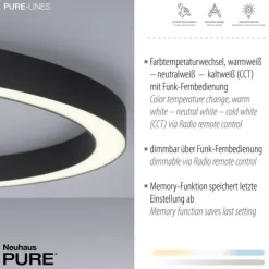 Paul Neuhaus LED Deckenleuchte PURE Lines Round graphite 70cm CCT Fernbedienung