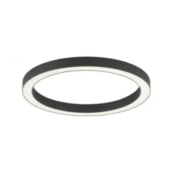 Paul Neuhaus LED Deckenleuchte PURE Lines Round graphite 50cm dimmbar CCT