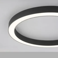 Paul Neuhaus LED Deckenleuchte PURE Lines Round graphite 50cm dimmbar CCT