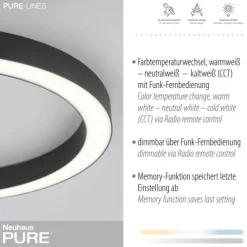 Paul Neuhaus LED Deckenleuchte PURE Lines Round graphite 50cm dimmbar CCT
