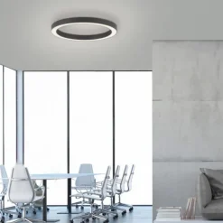 Paul Neuhaus LED Deckenleuchte PURE Lines Round graphite 50cm dimmbar CCT