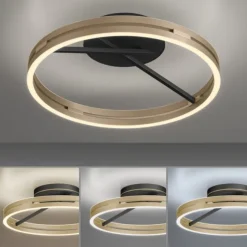 Paul Neuhaus LED Deckenleuchte PURE Loop black-pearl/ivory-gold Fernbedienung