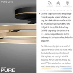 Paul Neuhaus LED Deckenleuchte PURE Loop black-pearl/ivory-gold Fernbedienung