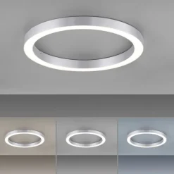 Paul Neuhaus LED Deckenleuchte PURE Lines Round diamond (alu) 50cm CCT Fernbedienung