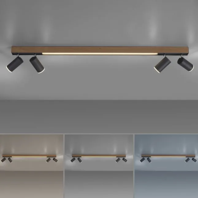 Paul Neuhaus LED Deckenleuchte PURE Lines Spot oak/graphite dimmbar CCT drehbar