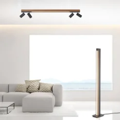 Paul Neuhaus LED Deckenleuchte PURE Lines Spot oak/graphite dimmbar CCT drehbar