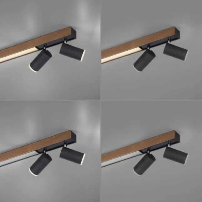 Paul Neuhaus LED Deckenleuchte PURE Lines Spot oak/graphite dimmbar CCT drehbar