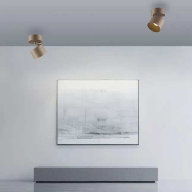 Paul Neuhaus LED Deckenleuchte PURE Cup, bronce, dimmbar, dreh- und schwenkbar