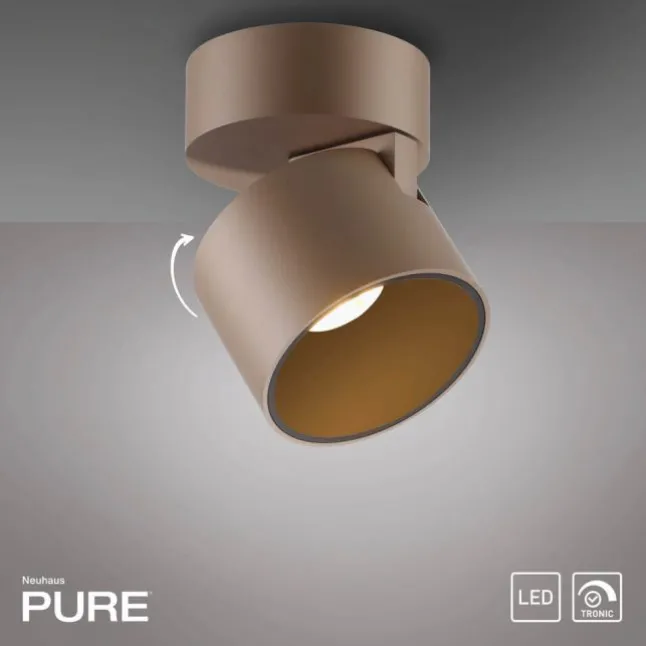 Paul Neuhaus LED Deckenleuchte PURE Cup, bronce, dimmbar, dreh- und schwenkbar
