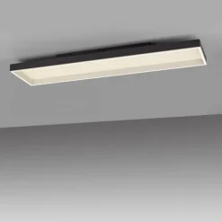 Paul Neuhaus LED Deckenleuchte Q-MAGONG schwarz steuerbar Smarthome