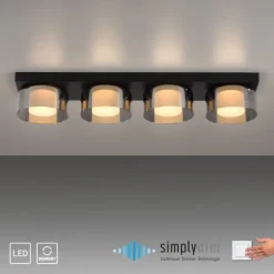 Paul Neuhaus LED Deckenleuchte 4 flammig dimmbar per Switchmo