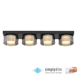 Paul Neuhaus LED Deckenleuchte 4 flammig dimmbar per Switchmo