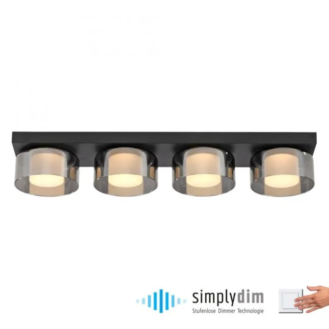 Paul Neuhaus LED Deckenleuchte 4 flammig dimmbar per Switchmo