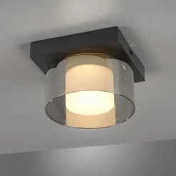 Paul Neuhaus LED Deckenleuchte 1 flammig dimmbar per Switchmo