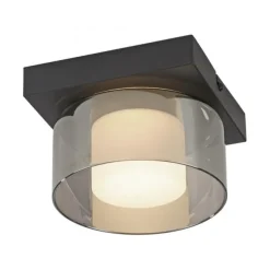 Paul Neuhaus LED Deckenleuchte 1 flammig dimmbar per Switchmo