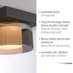 Paul Neuhaus LED Deckenleuchte 1 flammig dimmbar per Switchmo