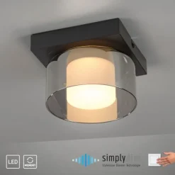 Paul Neuhaus LED Deckenleuchte 1 flammig dimmbar per Switchmo
