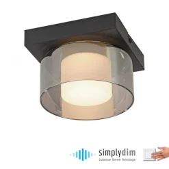Paul Neuhaus LED Deckenleuchte 1 flammig dimmbar per Switchmo