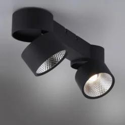 Paul Neuhaus LED Deckenleuchte PURE Nola schwarz 2 flammig drehbar dimmbar
