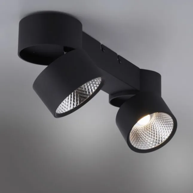 Paul Neuhaus LED Deckenleuchte PURE Nola schwarz 2 flammig drehbar dimmbar