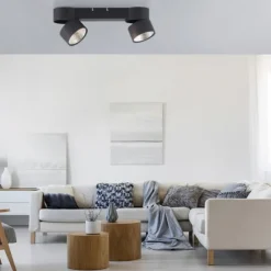 Paul Neuhaus LED Deckenleuchte PURE Nola schwarz 2 flammig drehbar dimmbar