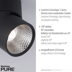 Paul Neuhaus LED Deckenleuchte PURE Nola schwarz 2 flammig drehbar dimmbar