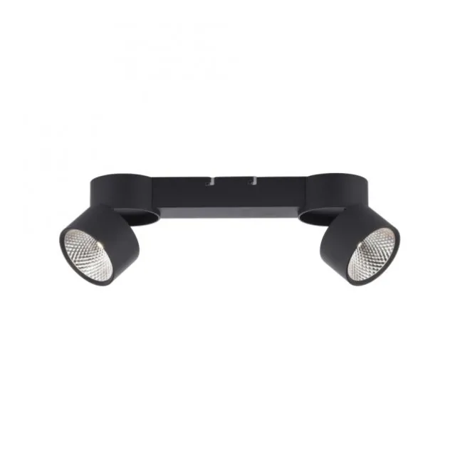 Paul Neuhaus LED Deckenleuchte PURE Nola schwarz 2 flammig drehbar dimmbar