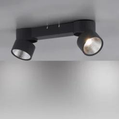 Paul Neuhaus LED Deckenleuchte PURE Nola schwarz 2 flammig drehbar dimmbar
