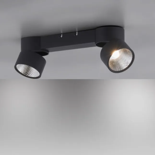 Paul Neuhaus LED Deckenleuchte PURE Nola schwarz 2 flammig drehbar dimmbar