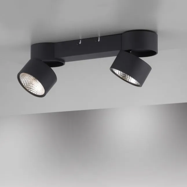Paul Neuhaus LED Deckenleuchte PURE Nola schwarz 2 flammig drehbar dimmbar