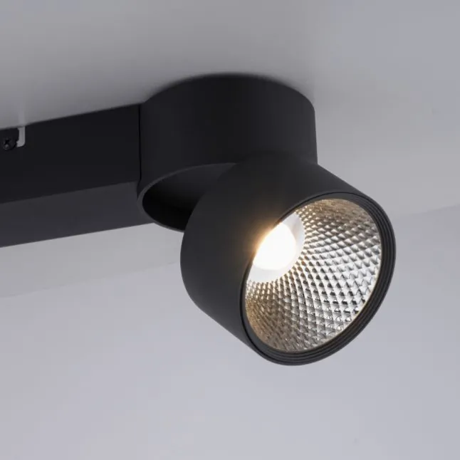 Paul Neuhaus LED Deckenleuchte PURE Nola schwarz 2 flammig drehbar dimmbar