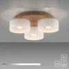 Paul Neuhaus LED Deckenleuchte MARIKA, sand, 3 flammig