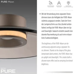 Paul Neuhaus LED Deckenleuchte Pure Moon bronce Tronicdimmer